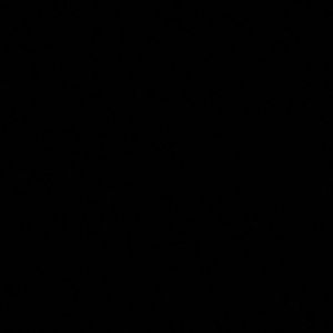 Meet your Posher, Noor